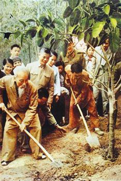 Ngày 16/2/1969 (mồng 1 Tết Kỷ Dậu), Bác Hồ trồng cây ở xã Vật Lại, huyện Ba Vì, tỉnh Hà Tây cũ (nay là Hà Nội).